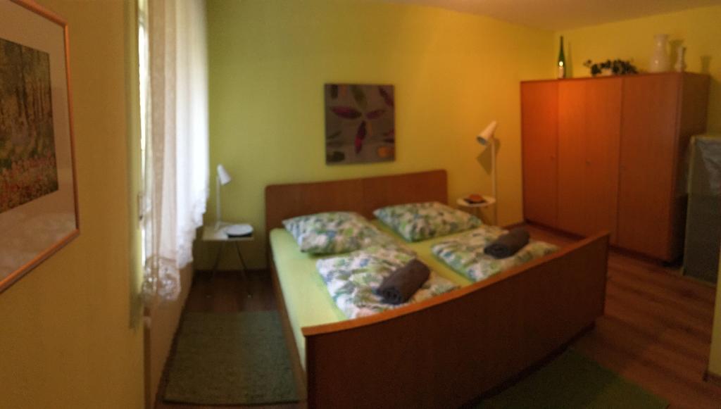 Large Wuerzburg Apartment Екстериор снимка
